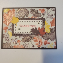 2025-November 2025-November